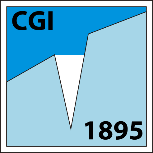 CGI